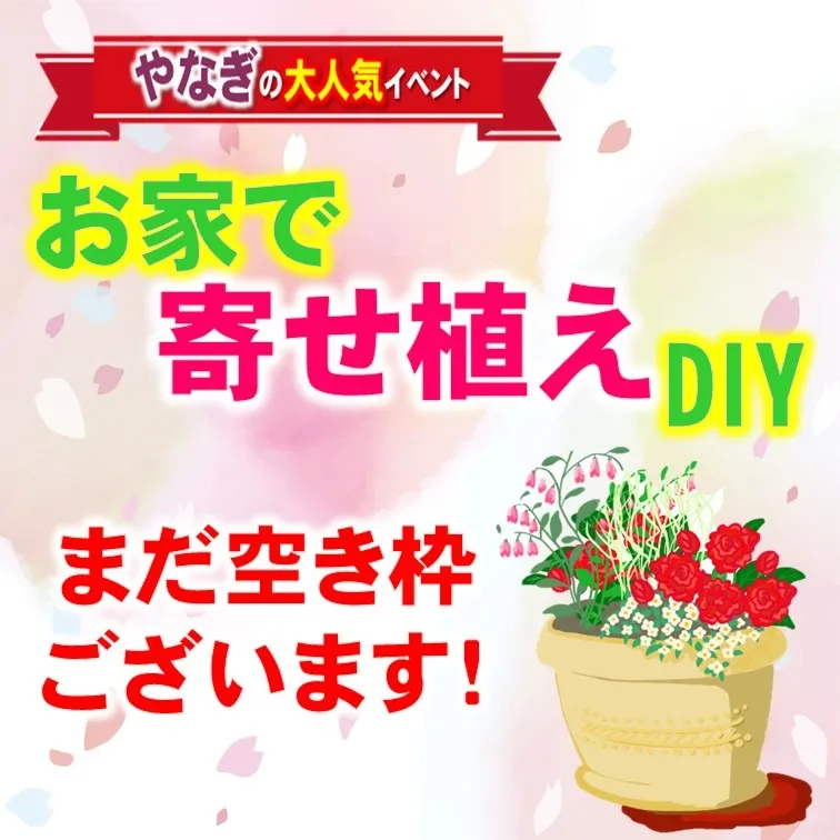 まだ空き枠あります！お家で寄せ植えDIY